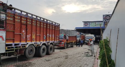 Fast Delivery