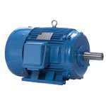 Electric Motor & Starter