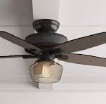 Fans