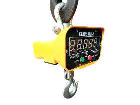 Weight Crane Scale